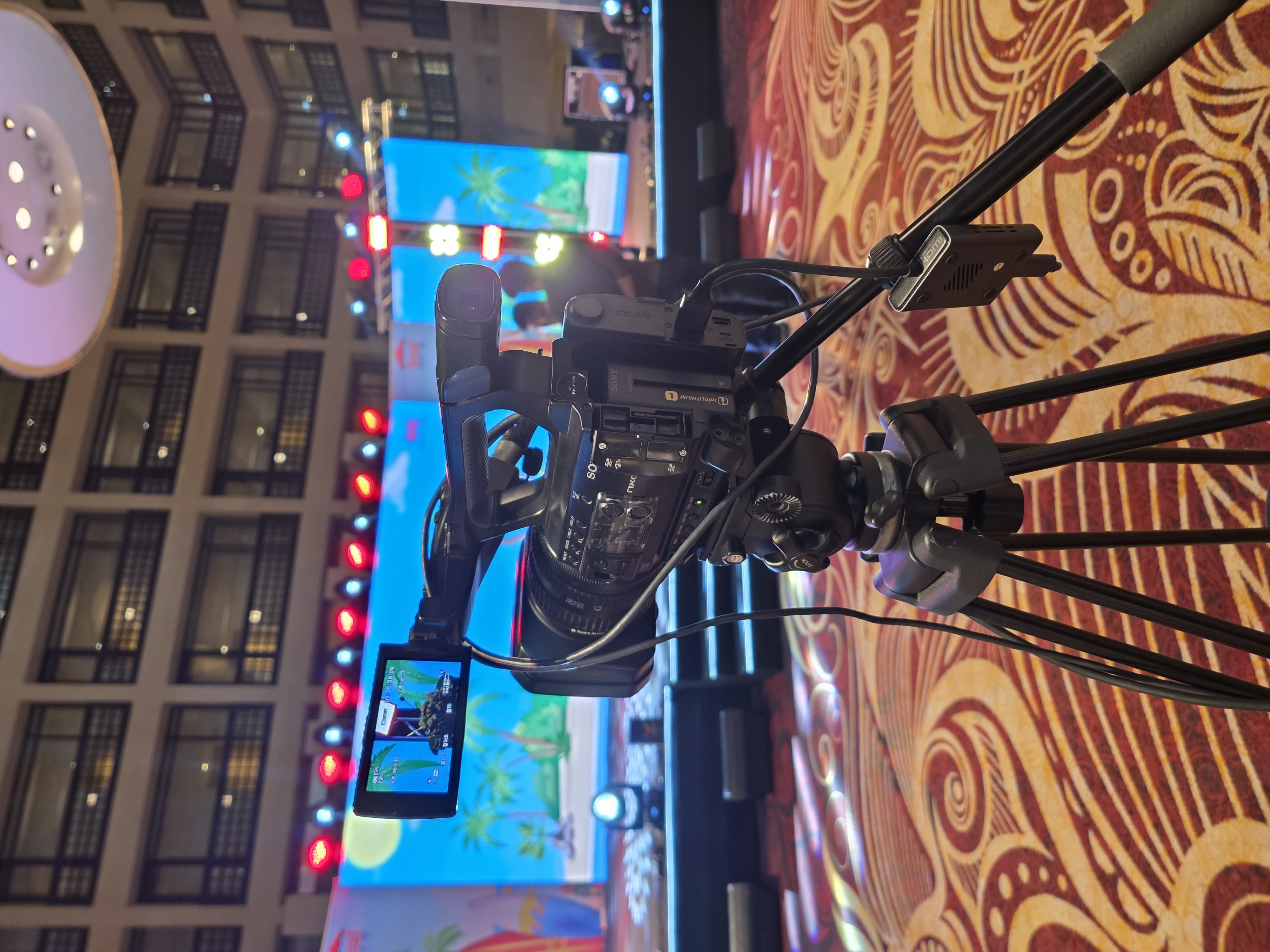 Sony HXR-NX100 Camcorder Camera in action 6